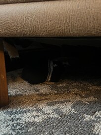 Pair of socks from previous room occupant.