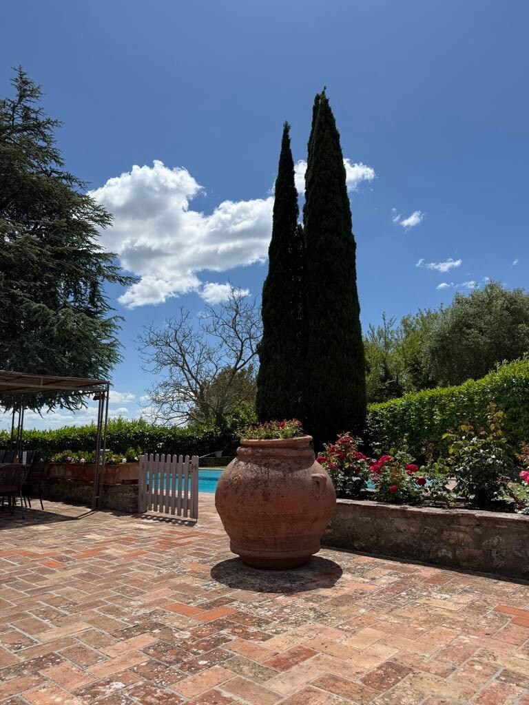 In the garden