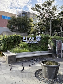 仁寺洞
