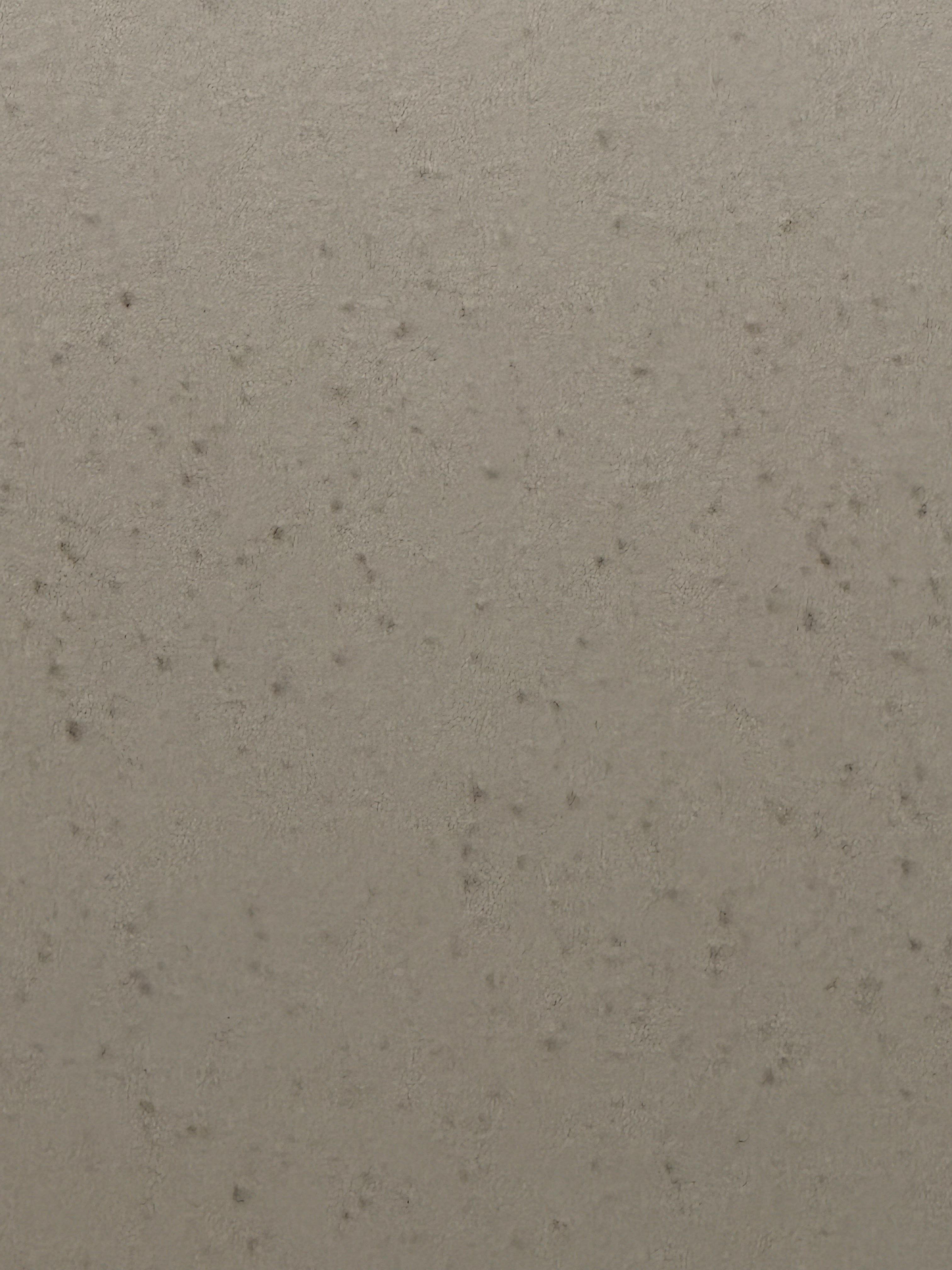 Black mold on ceiling of room 118