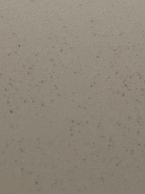 Black mold on ceiling of room 118