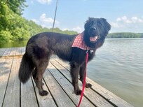 Enjoying the Dock