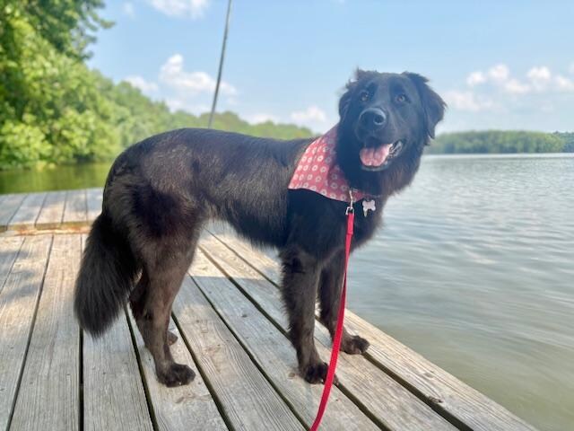 Enjoying the Dock