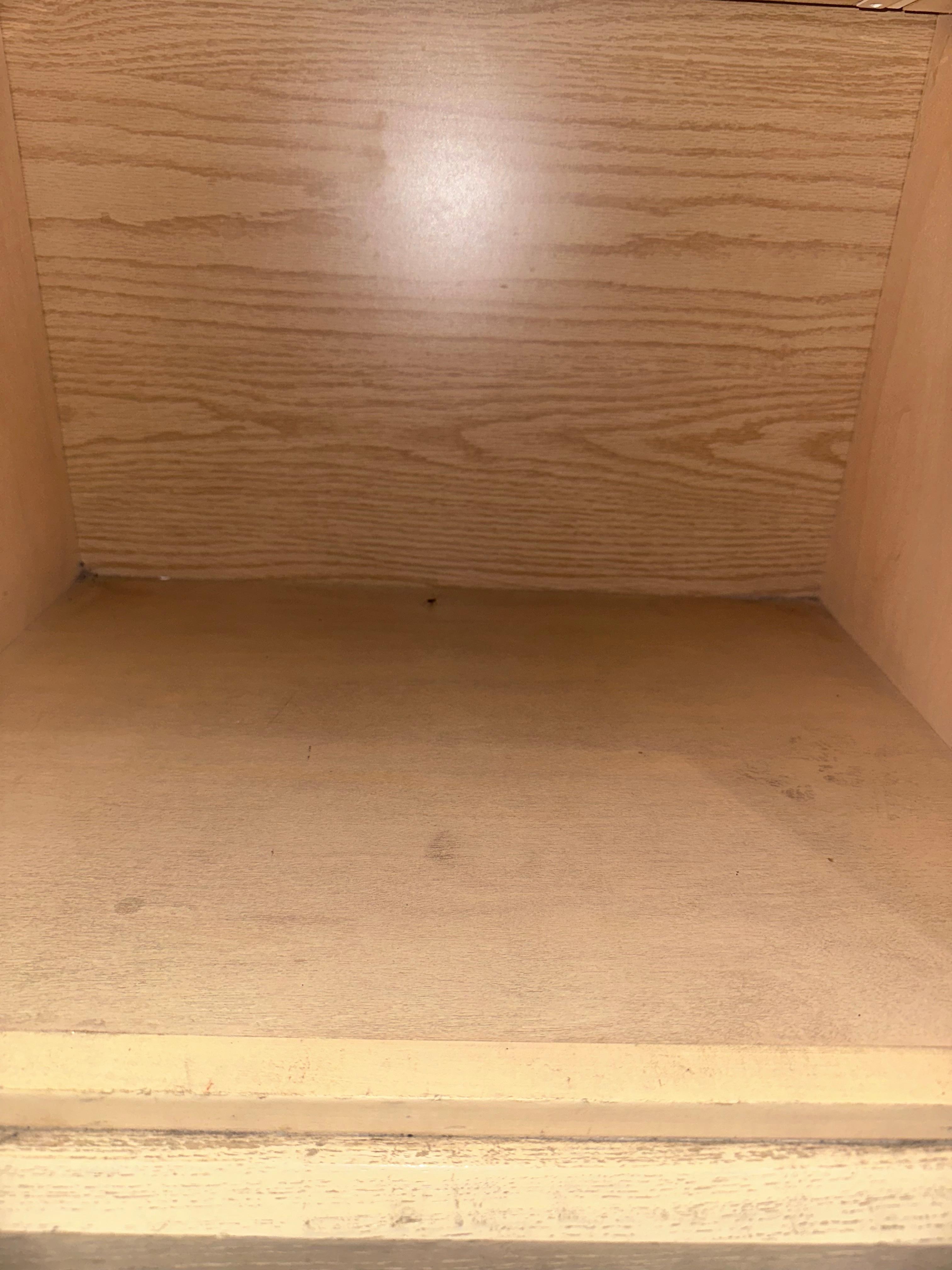 Roach was crawling I wasn’t trying to get close. There was more on my boyfriends side 