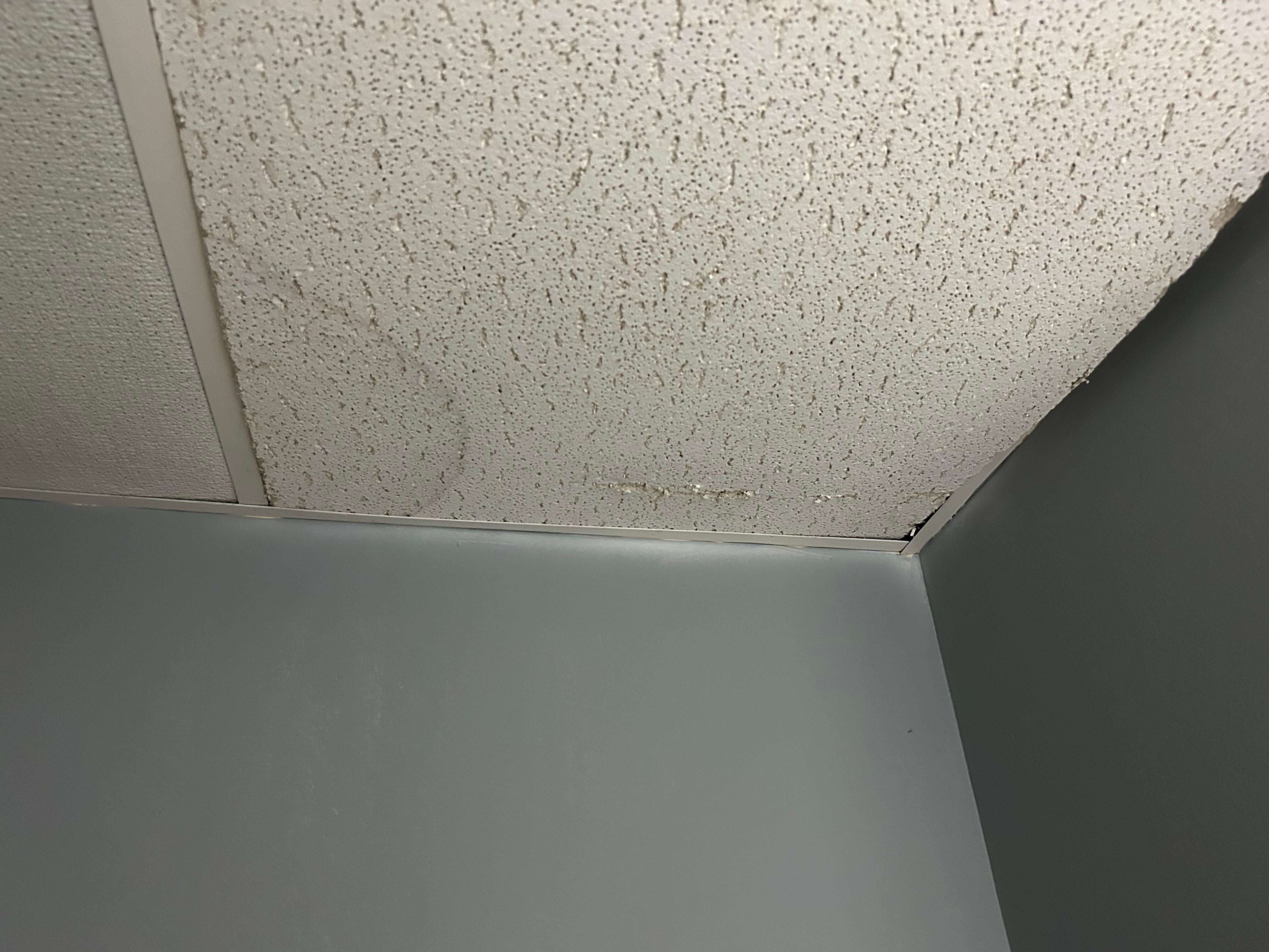 Ceiling in the bathroom above the toilet 