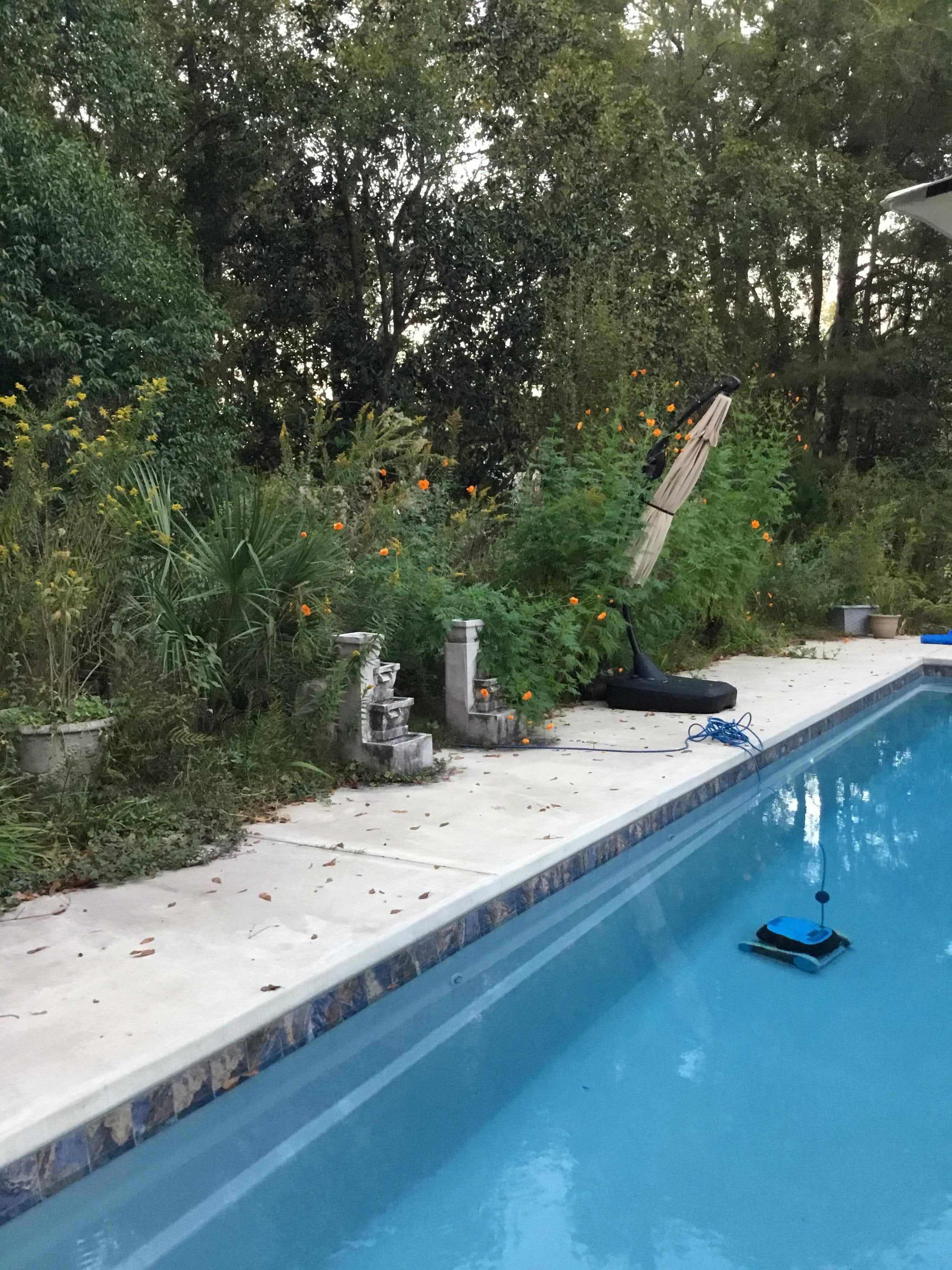 Pool self cleaning pic.