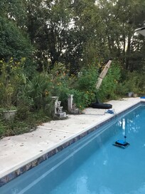 Pool self cleaning pic.