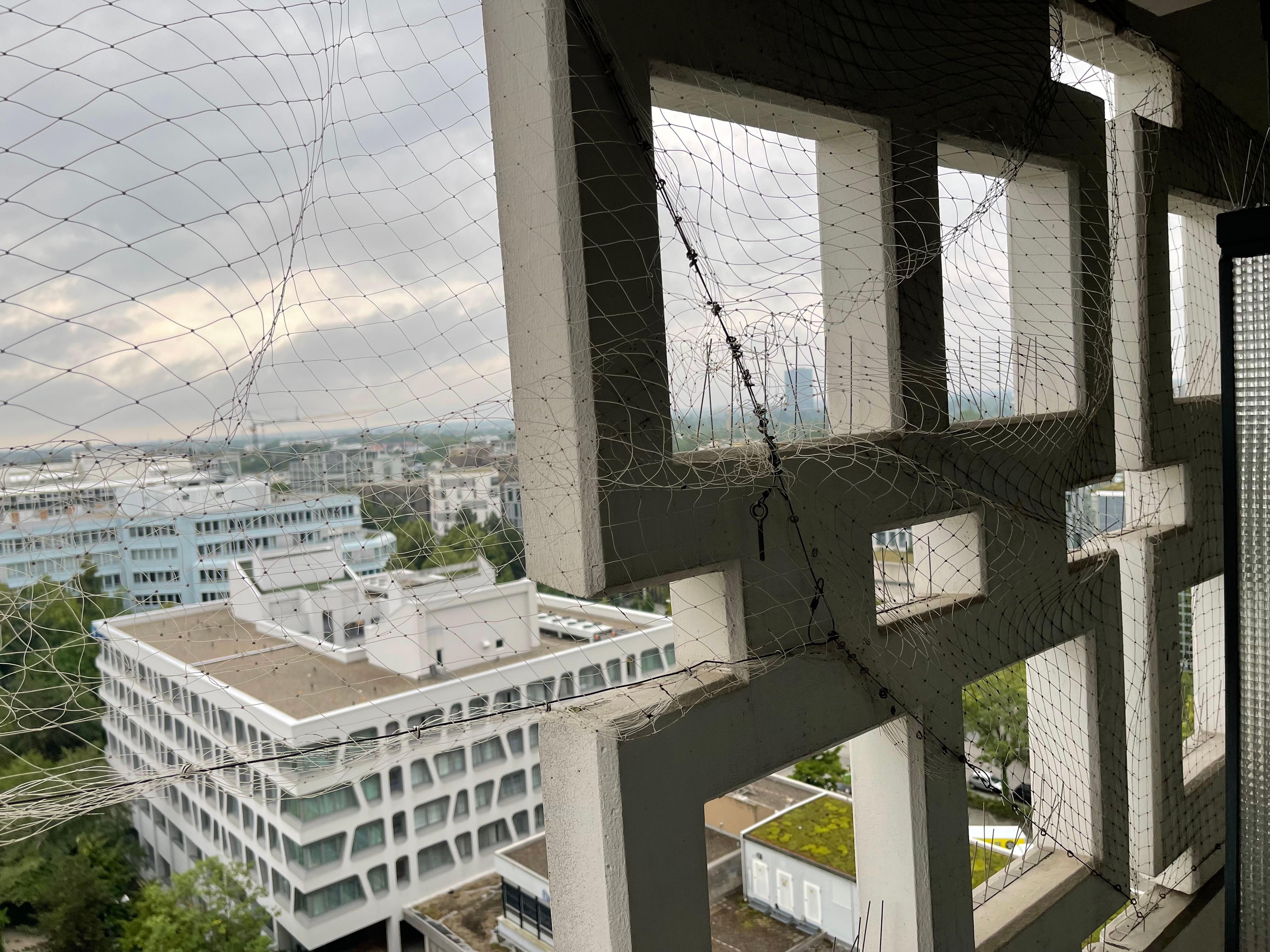 Die Netze zur Taubenabwehr zerrissen.