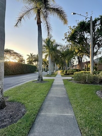 Beautiful neighborhood