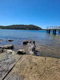 Narooma esplanade
