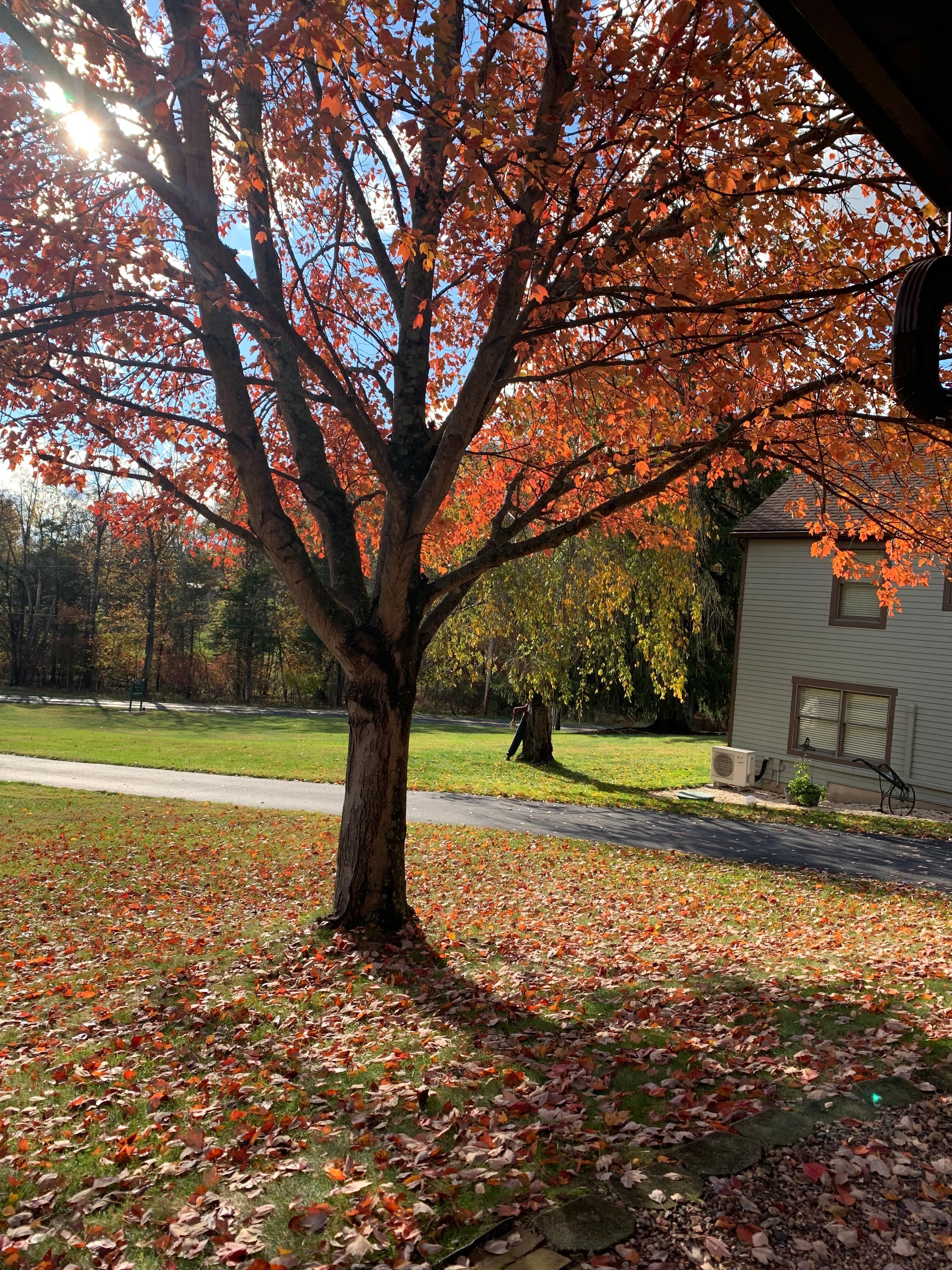 The road up into the Inn 