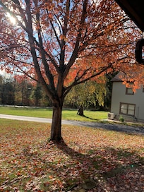 The road up into the Inn