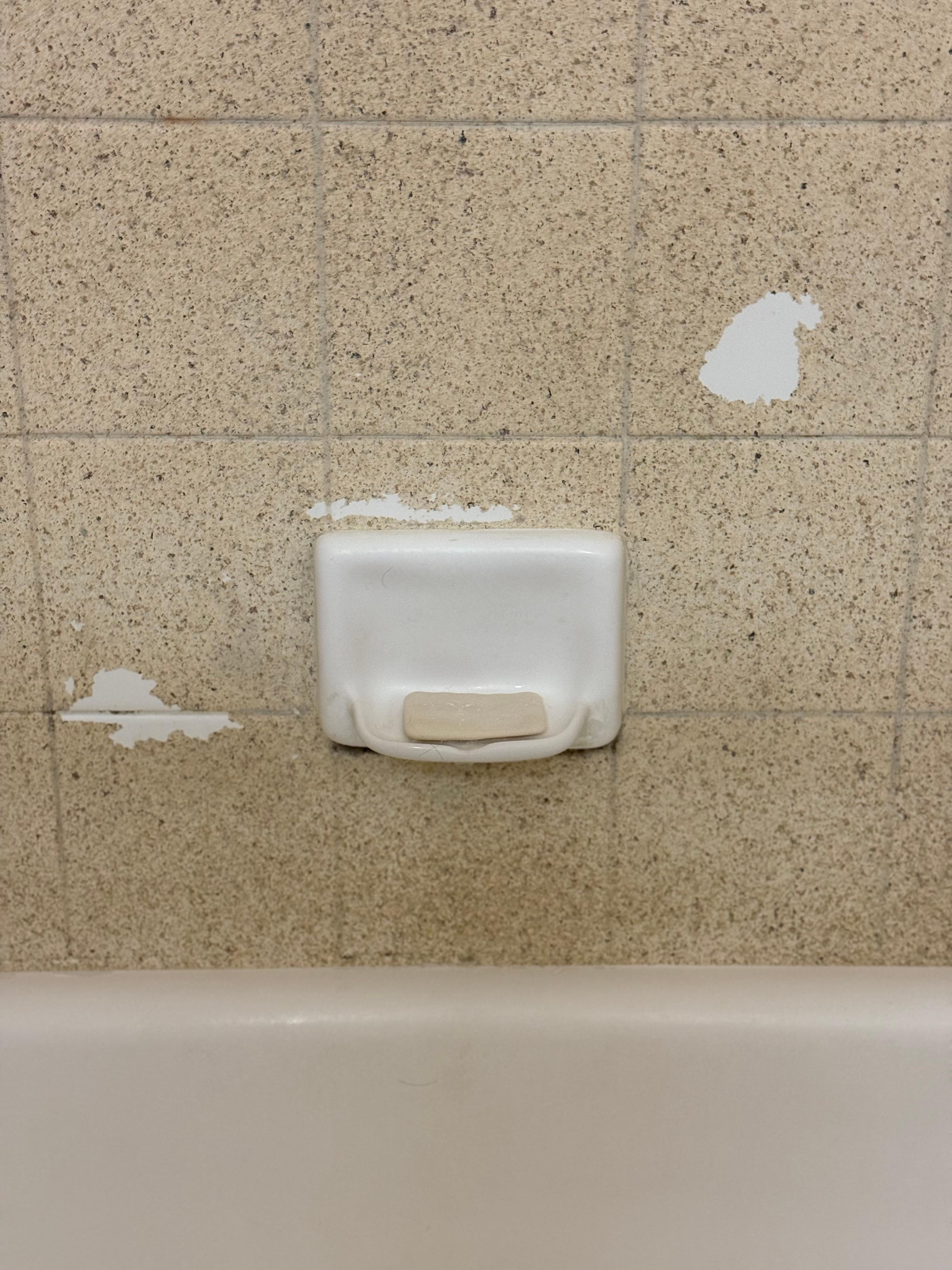 Used soap in shower.