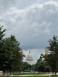 Capital