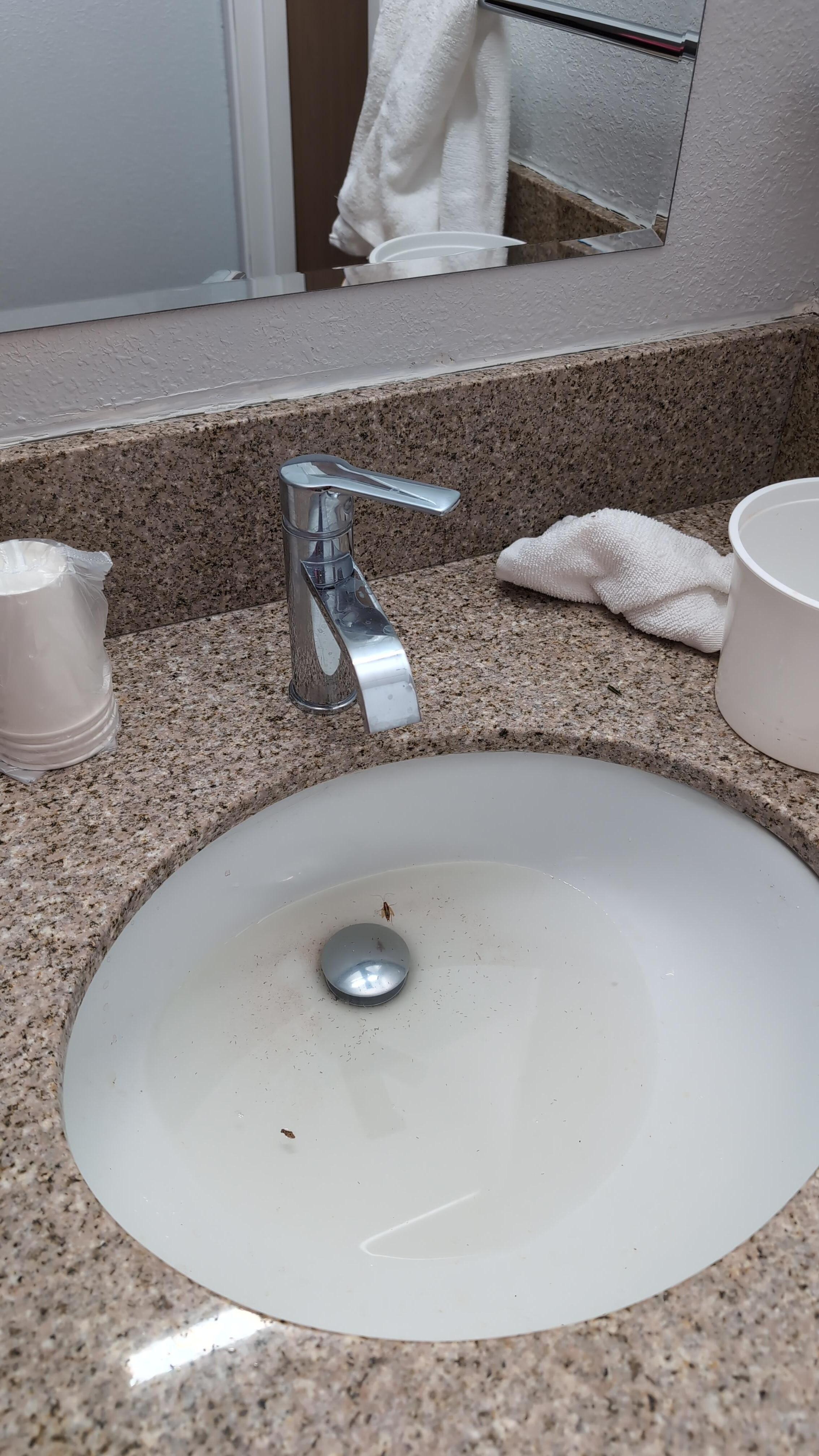 Un seul cafard.
Je n'ai pas demandé à ce que l'on débouche mon évier.