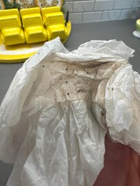 Dead bugs clean up