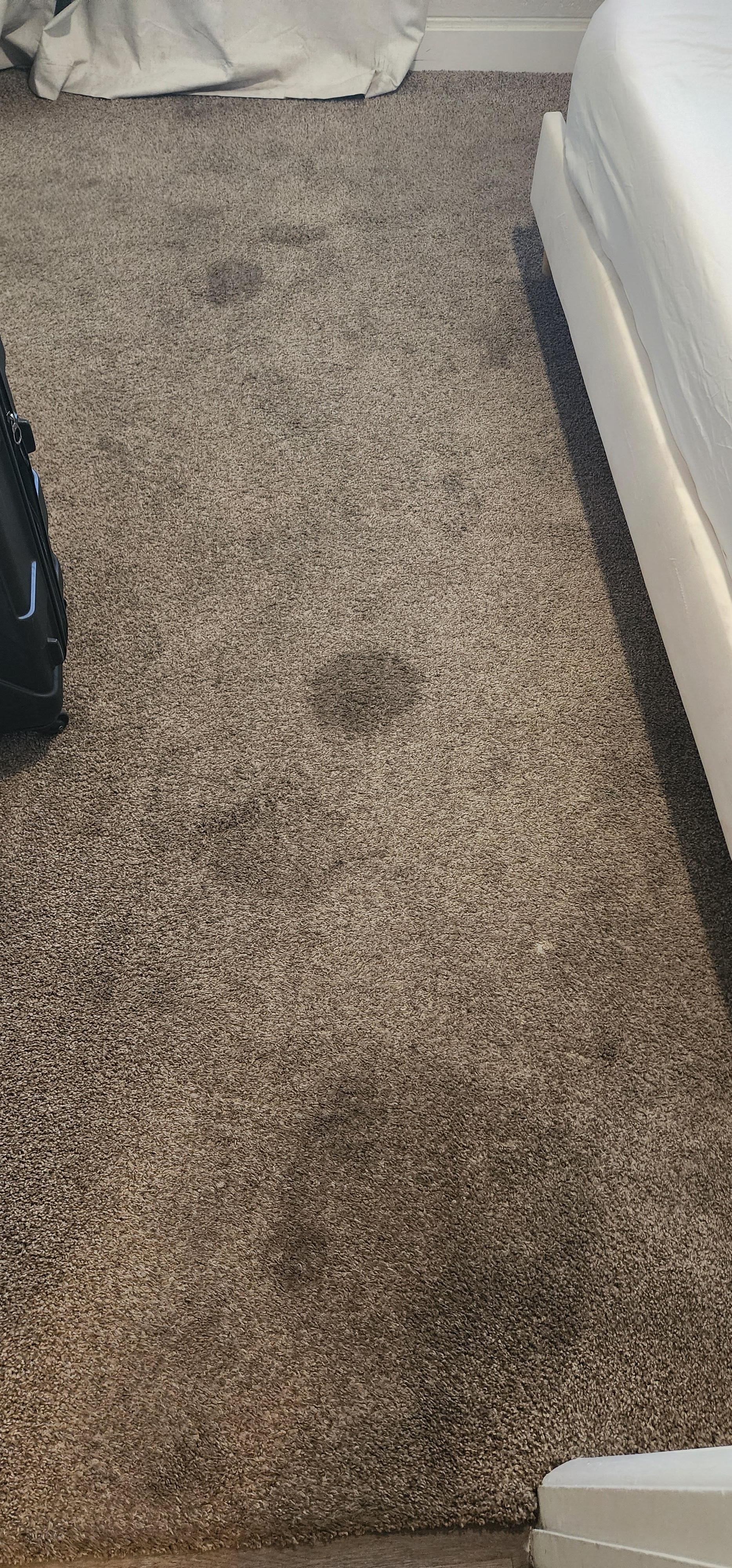 Carpets soiled with God knows what that were never cleaned. At least have the carpets cleaned