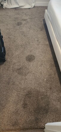 Carpets soiled with God knows what that were never cleaned. At least have the carpets cleaned