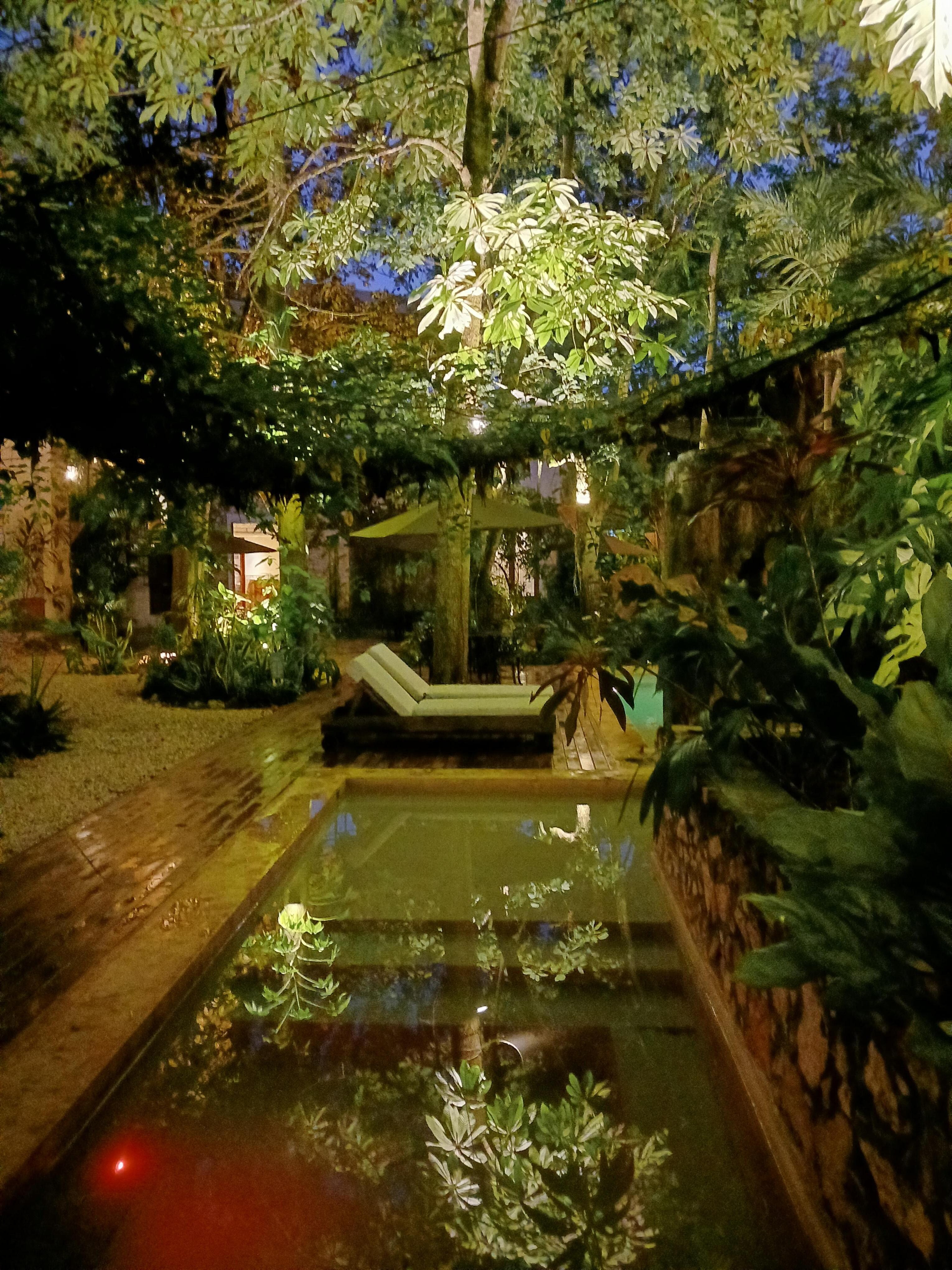 Garden and pool at night