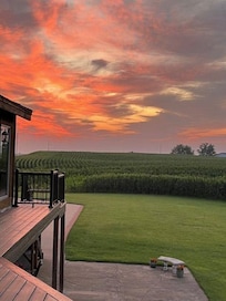 My morning coffee each day!