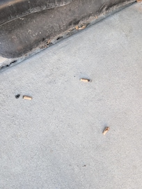 More joints found outside