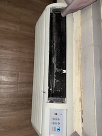 A/C is old and covered with mold