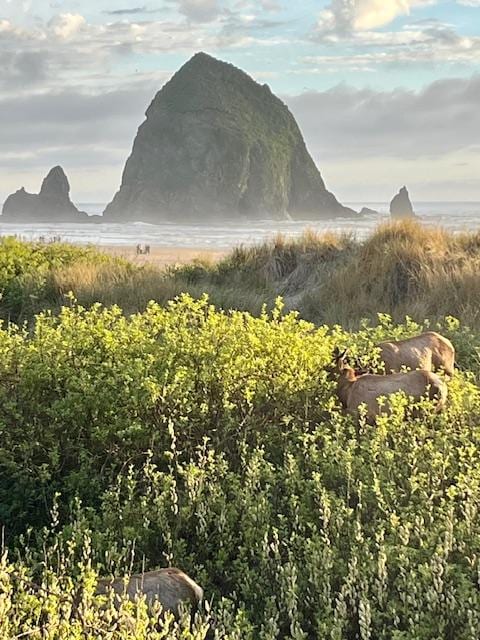 The view just a few steps away from our cabana.