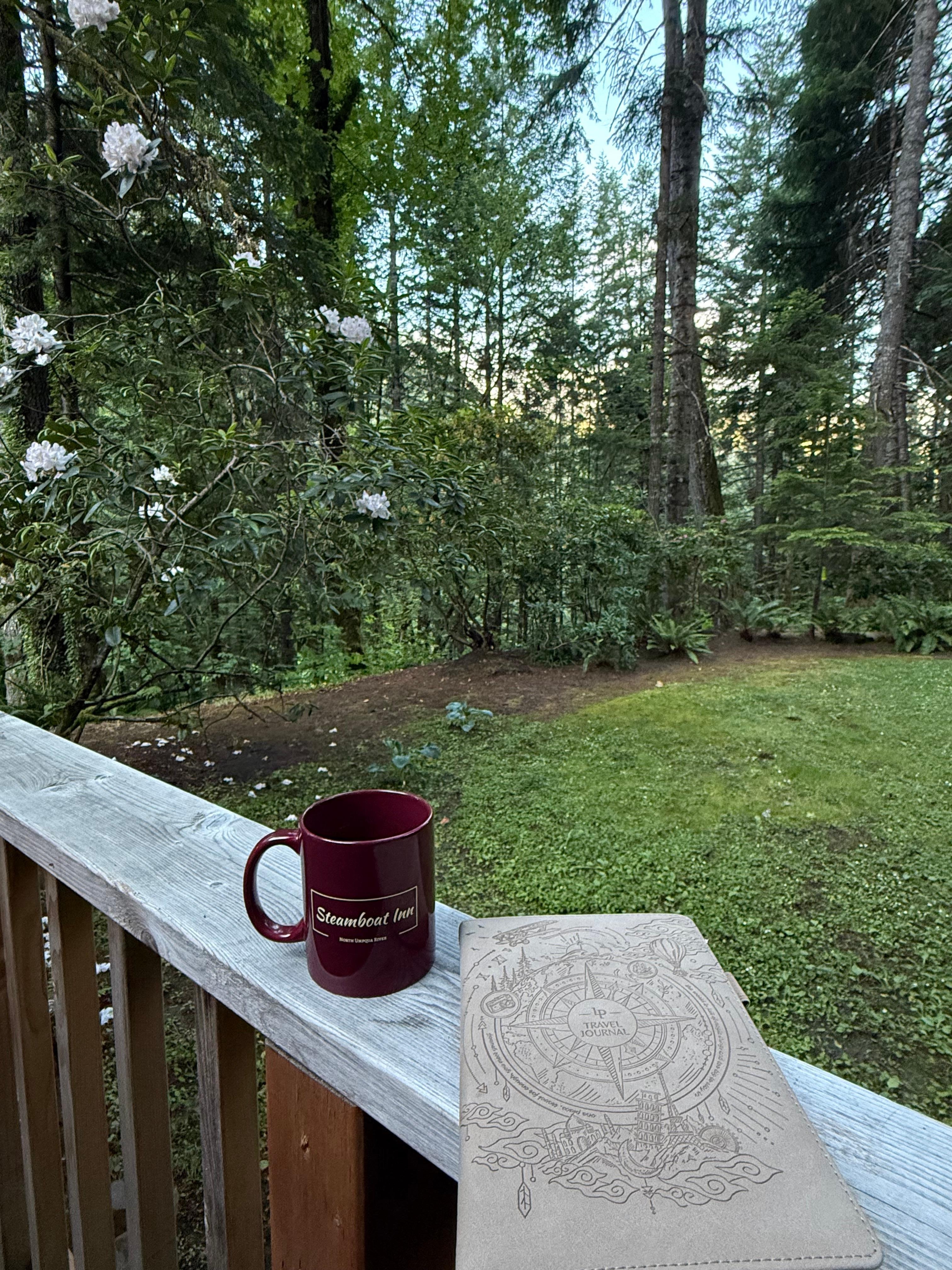 Cabin patio at morning 