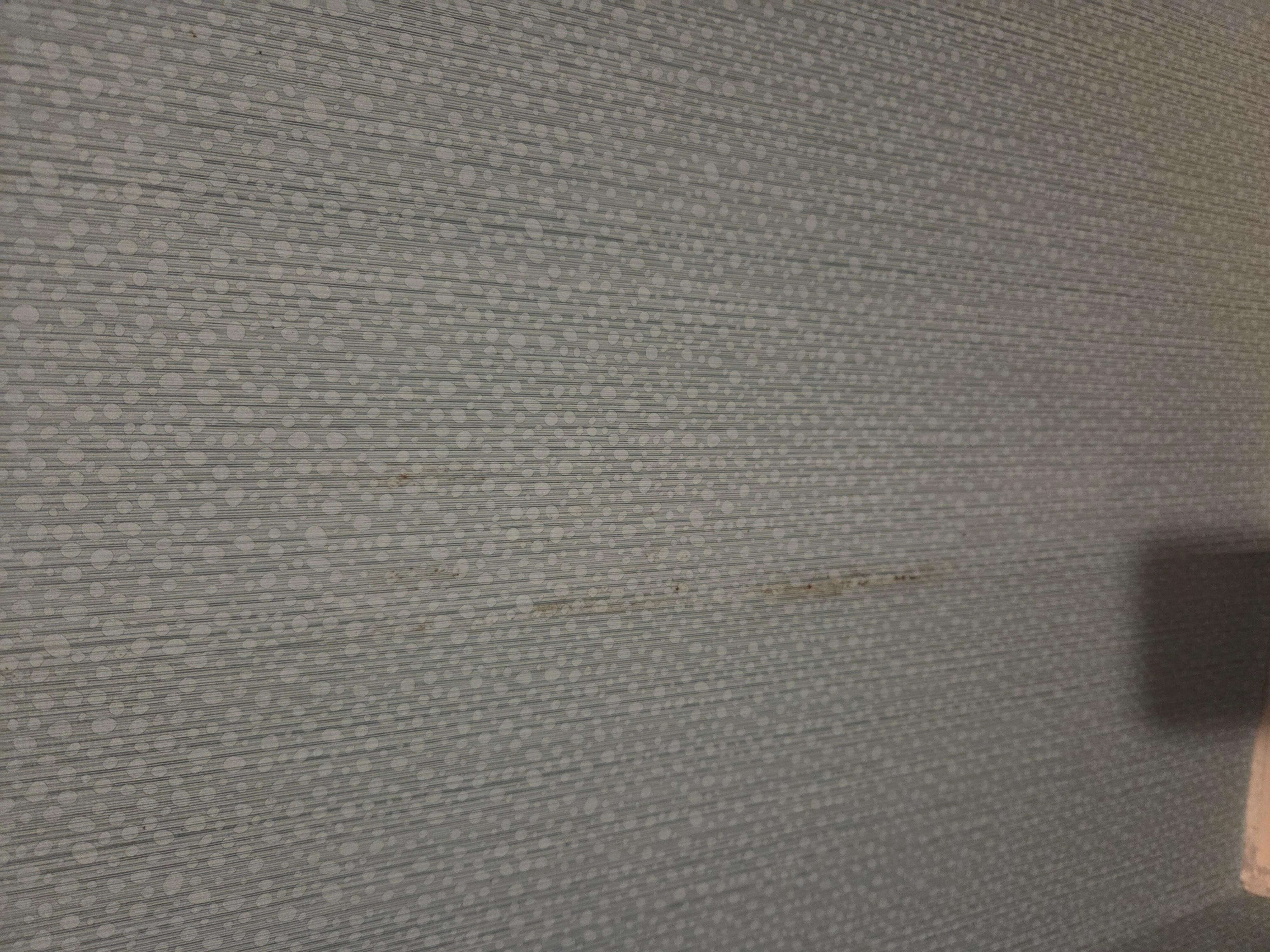 Moldy on wallpaper. 