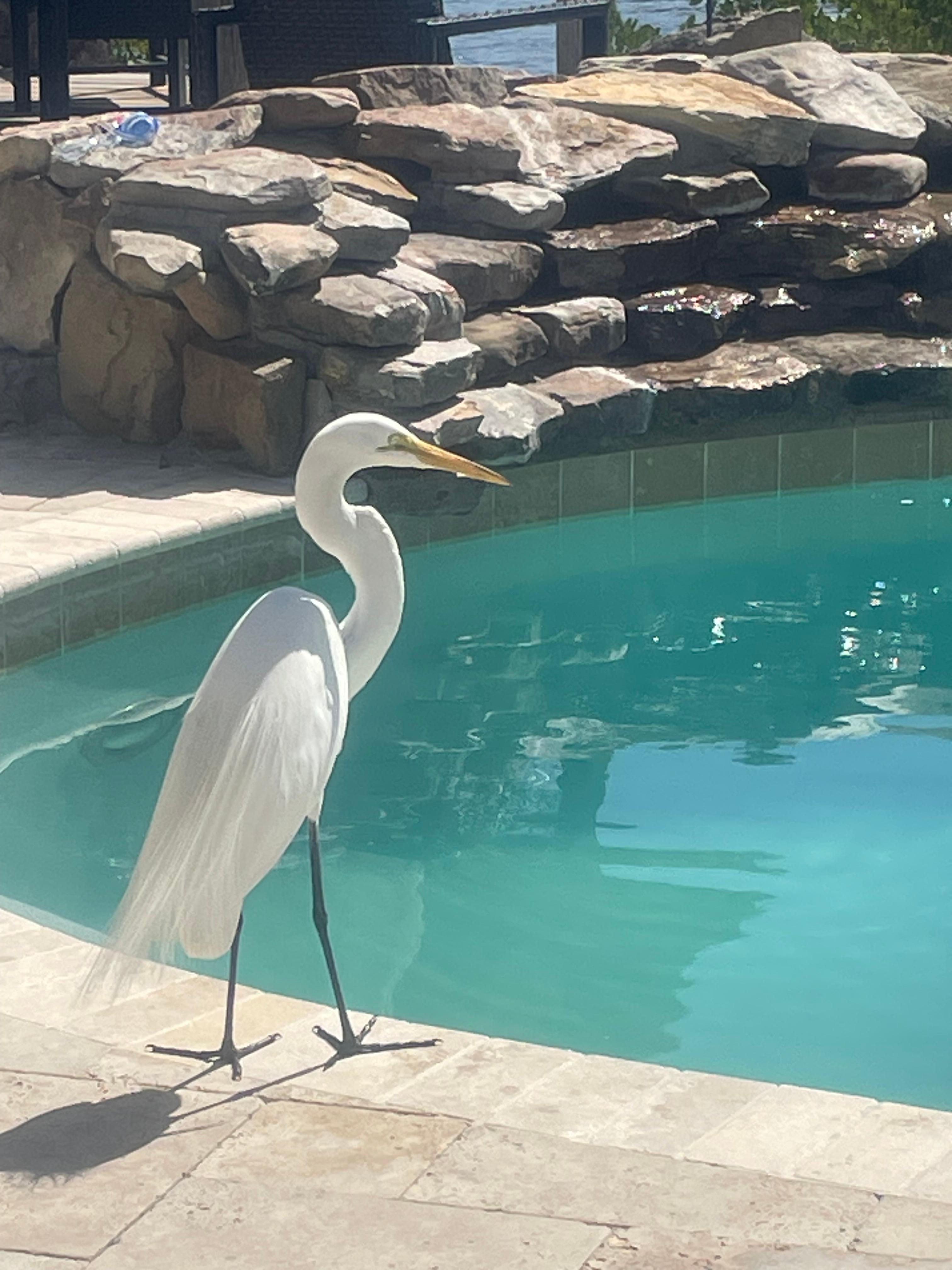 Fred came every day to visit