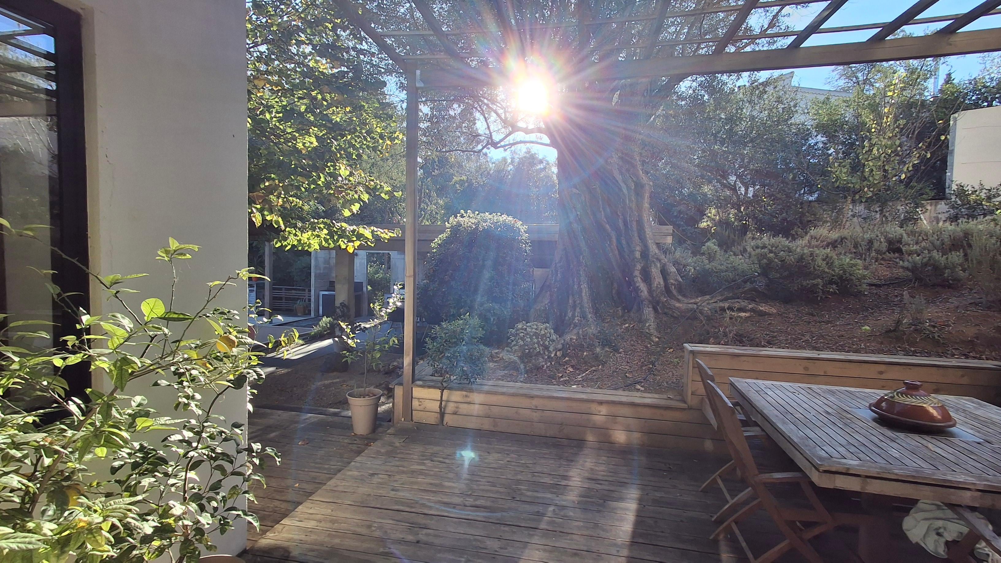 Late-October-Morning-Sunrays shining into the living-room