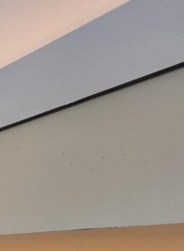 Dust above your bed