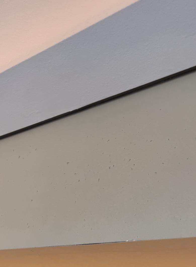 Dust above your bed