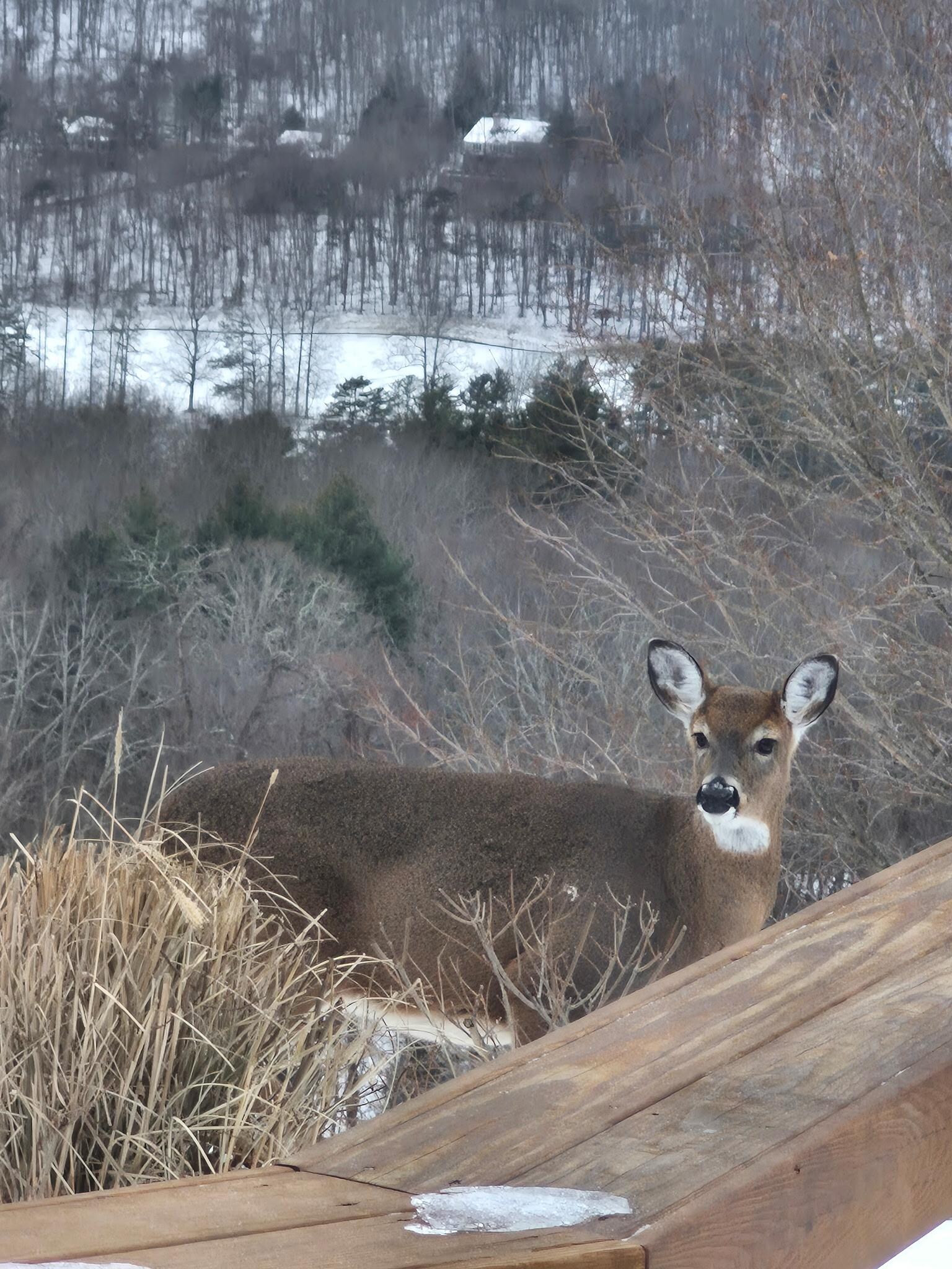 This guy made a visit 