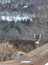 This guy made a visit