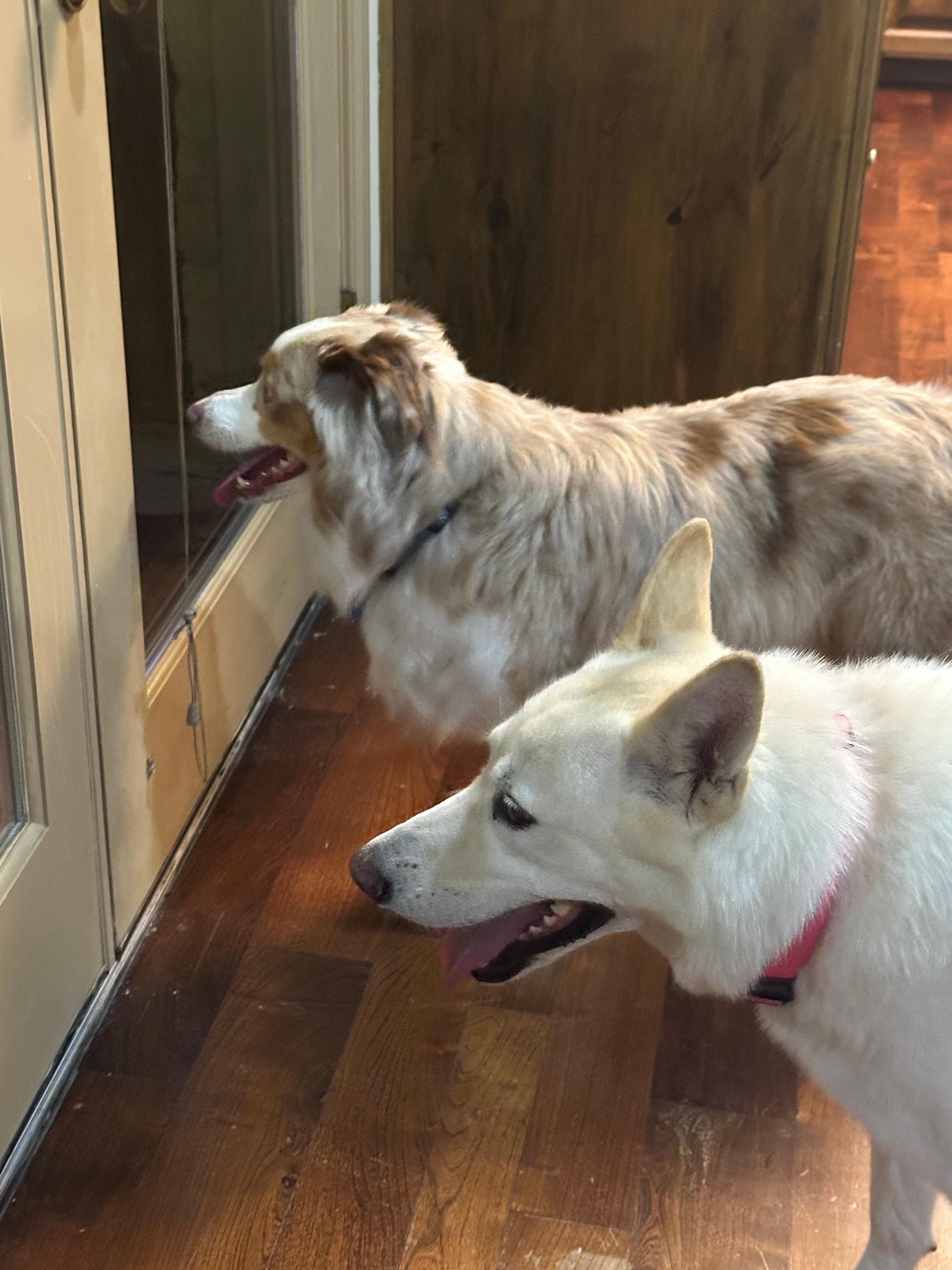 Gabe and Maggie