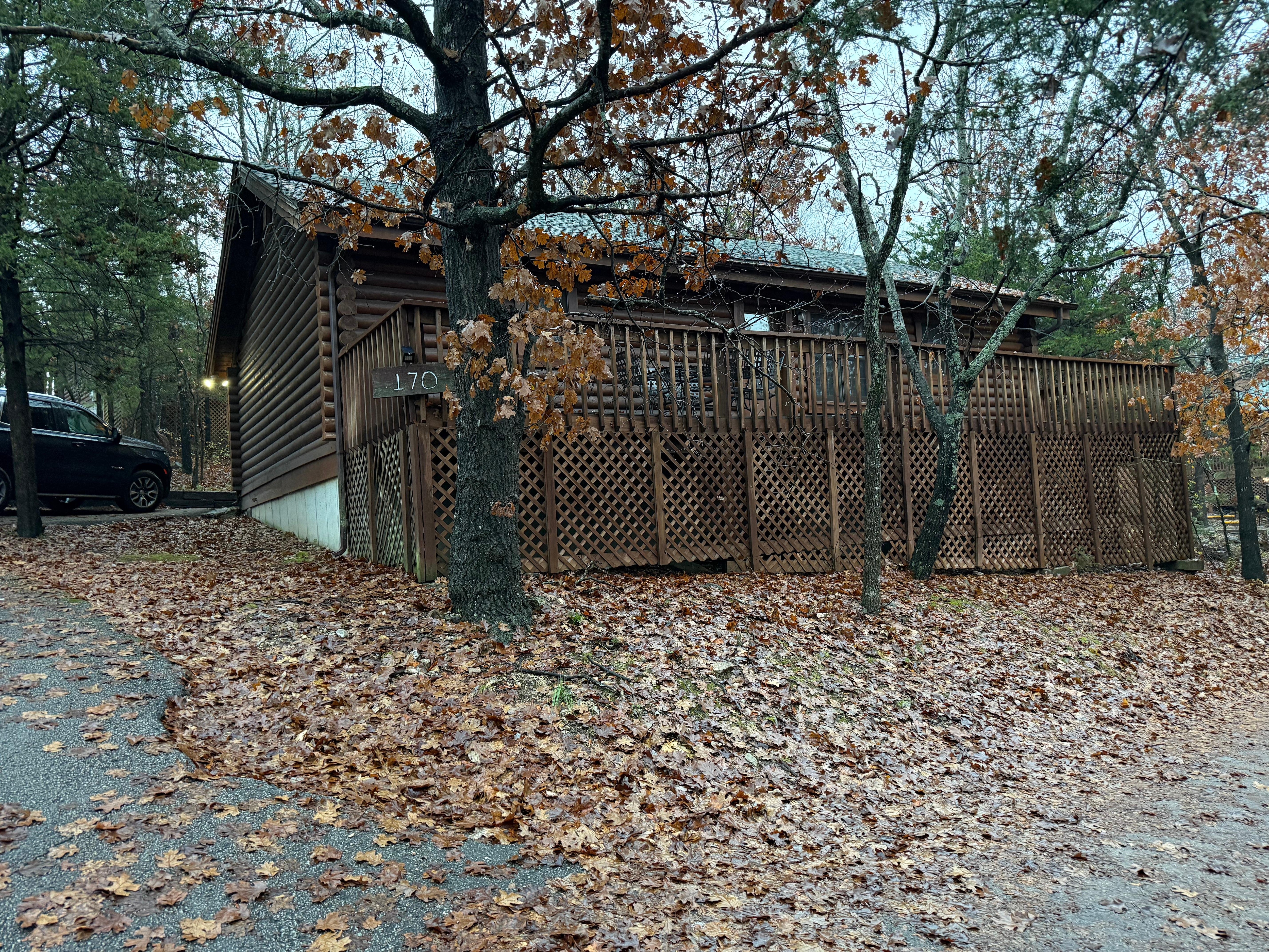 The back of the cabin facing the road