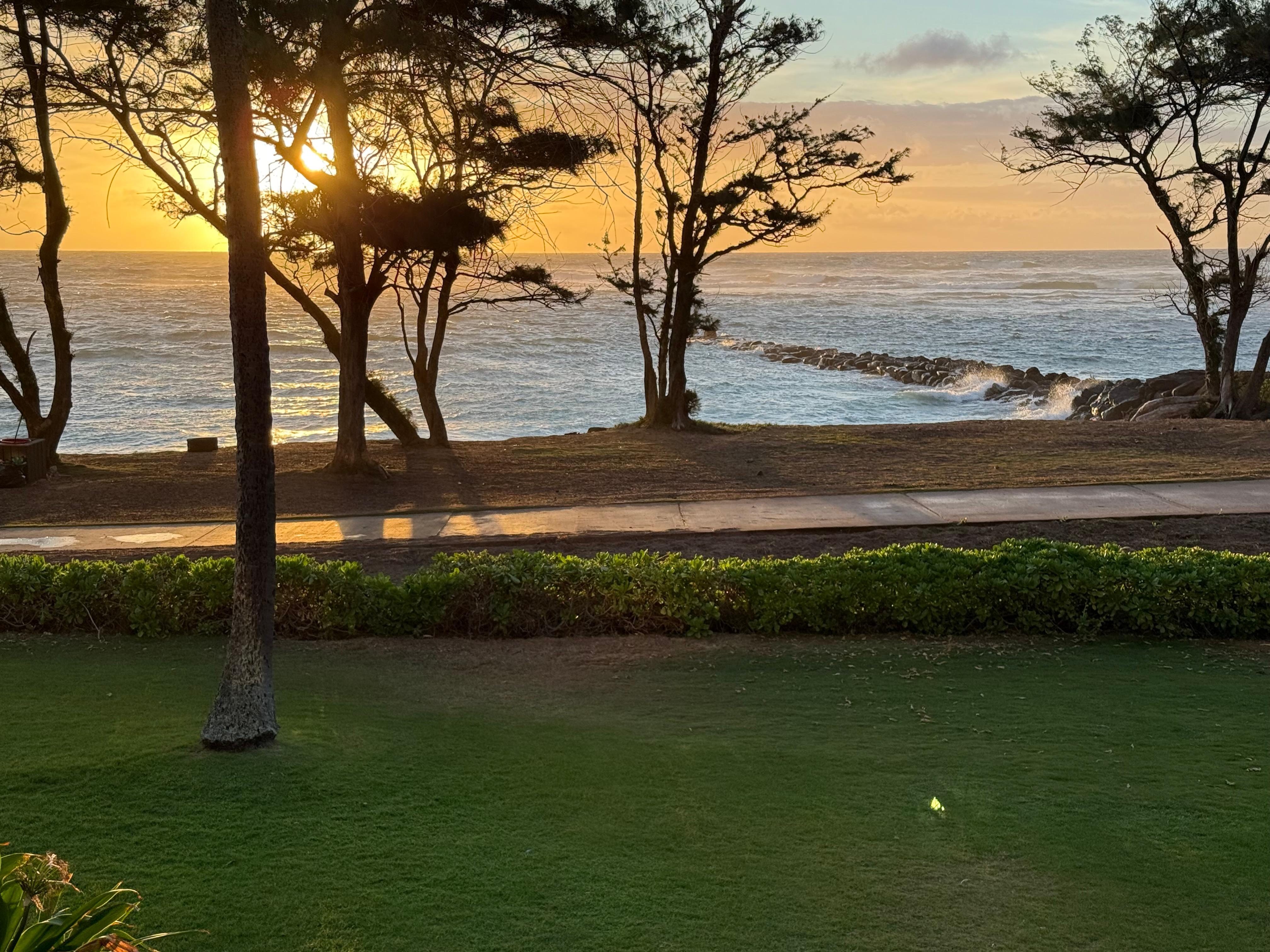 Morning view from balcony
