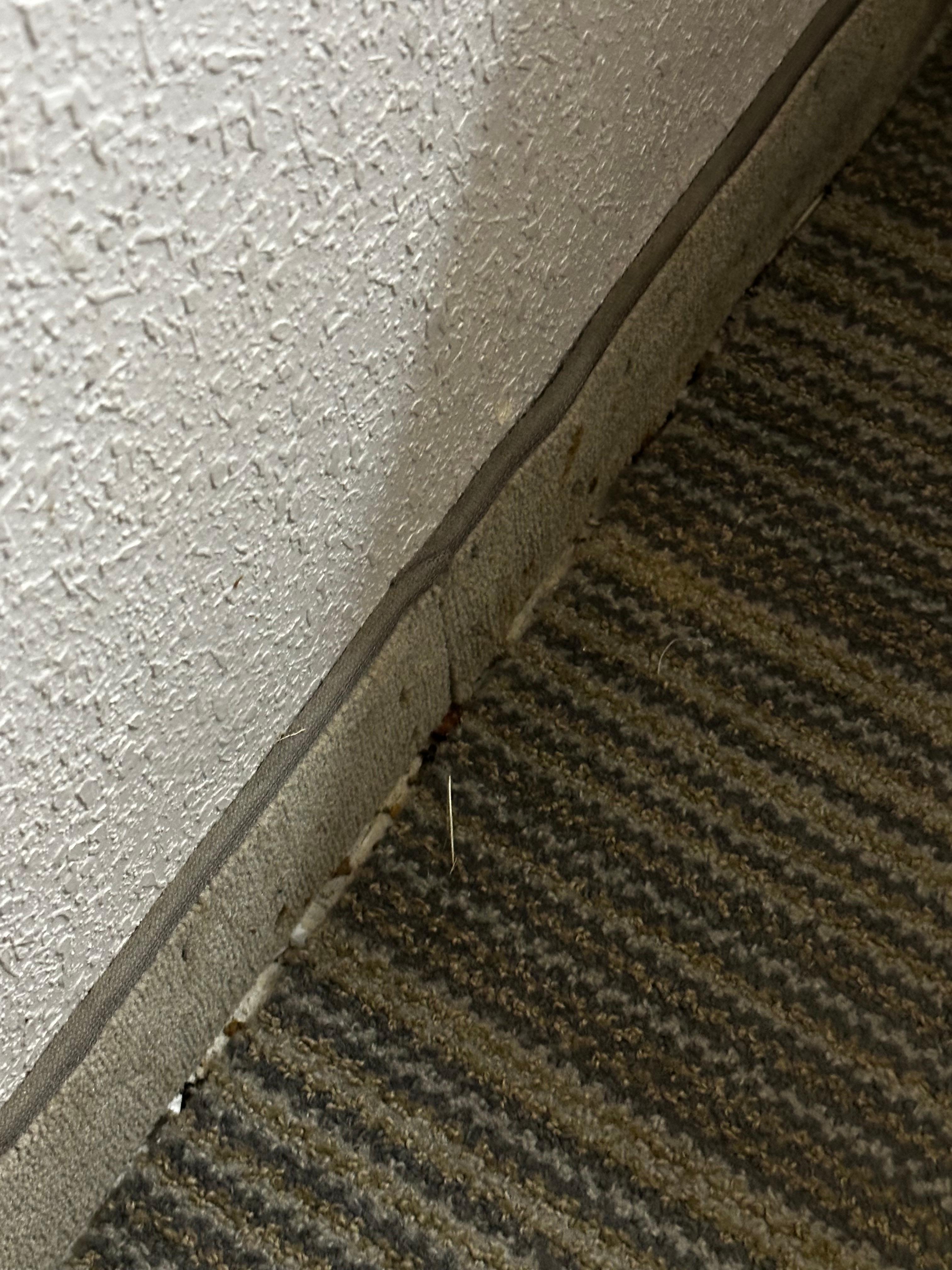 Awful carpet installation! 
