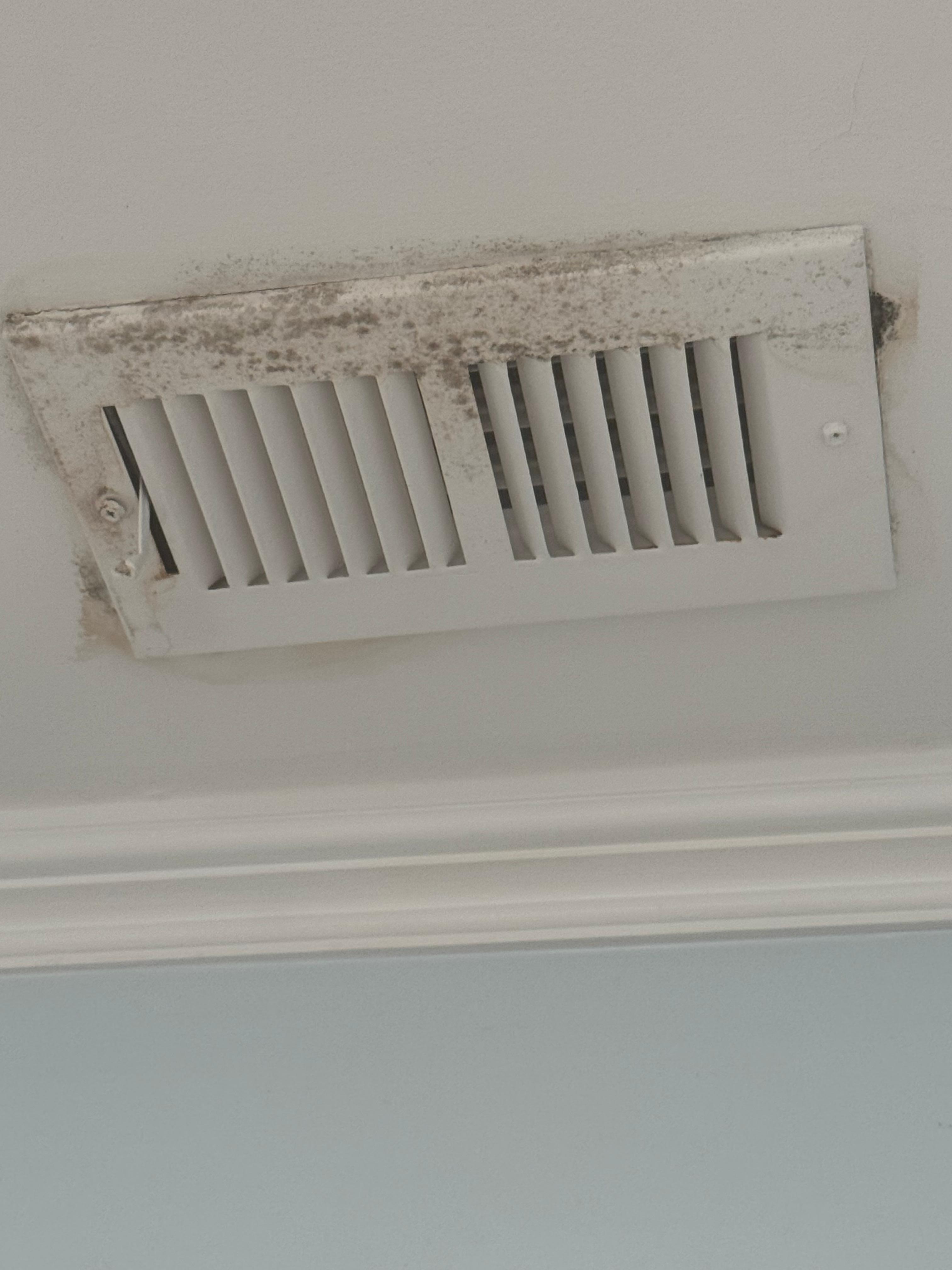 Mold on ceiling vent