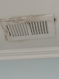 Mold on ceiling vent