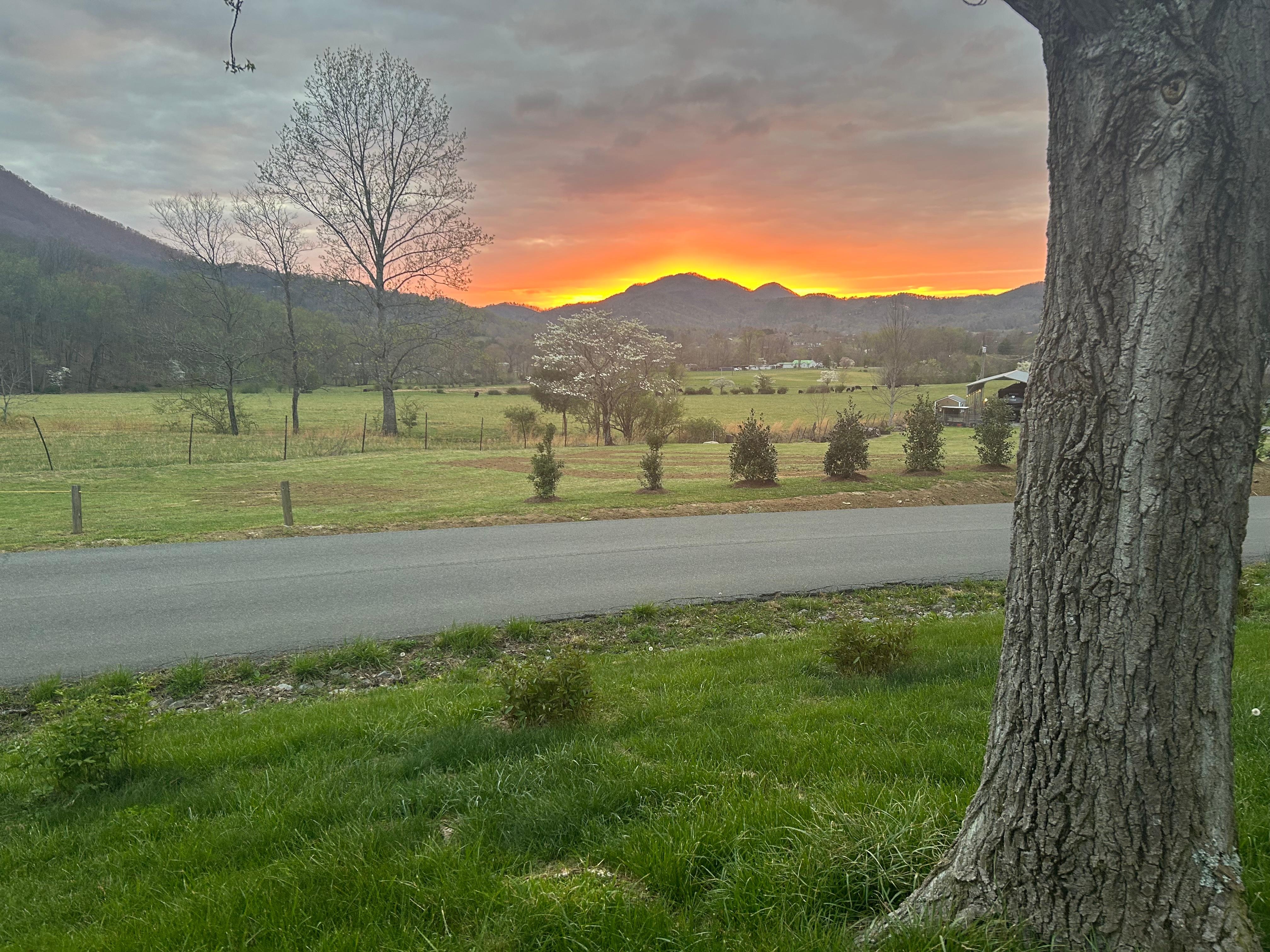 Great view of sunset from the driveway!
