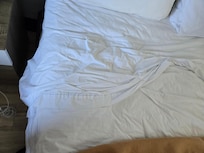 This bed wreaked of bad odor with the smells associated with desi food.