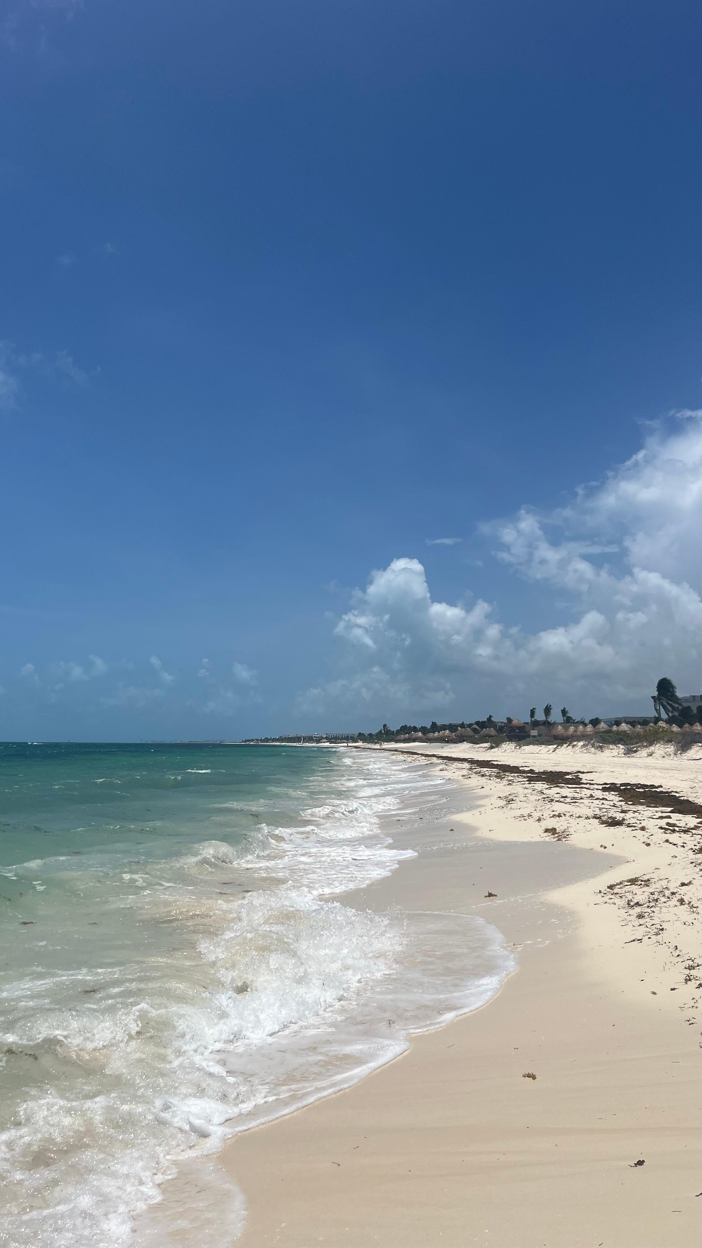 The beach 