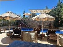 Picture of the pool from the dining table.