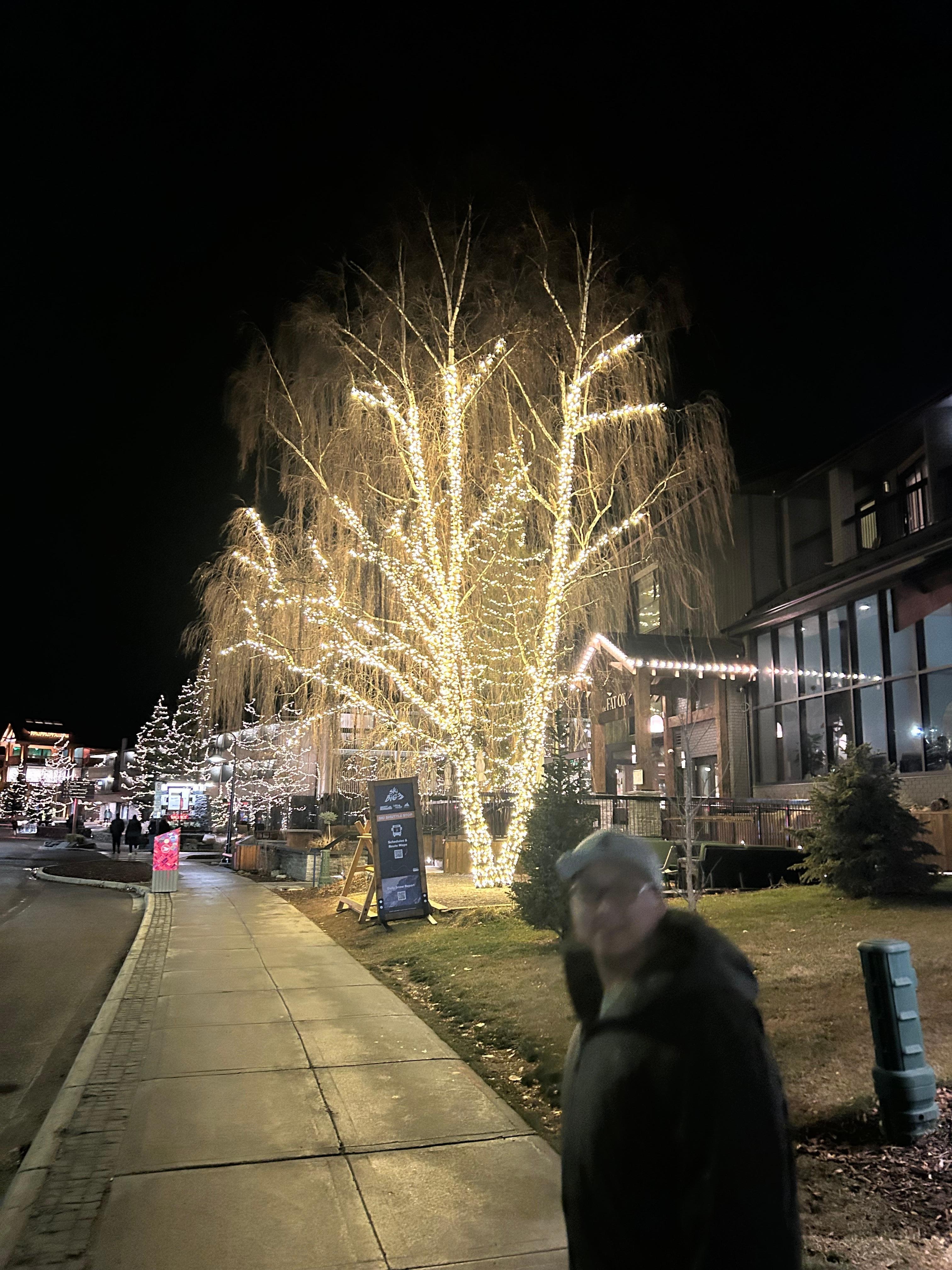 It’s beginning to look a lot like xmas