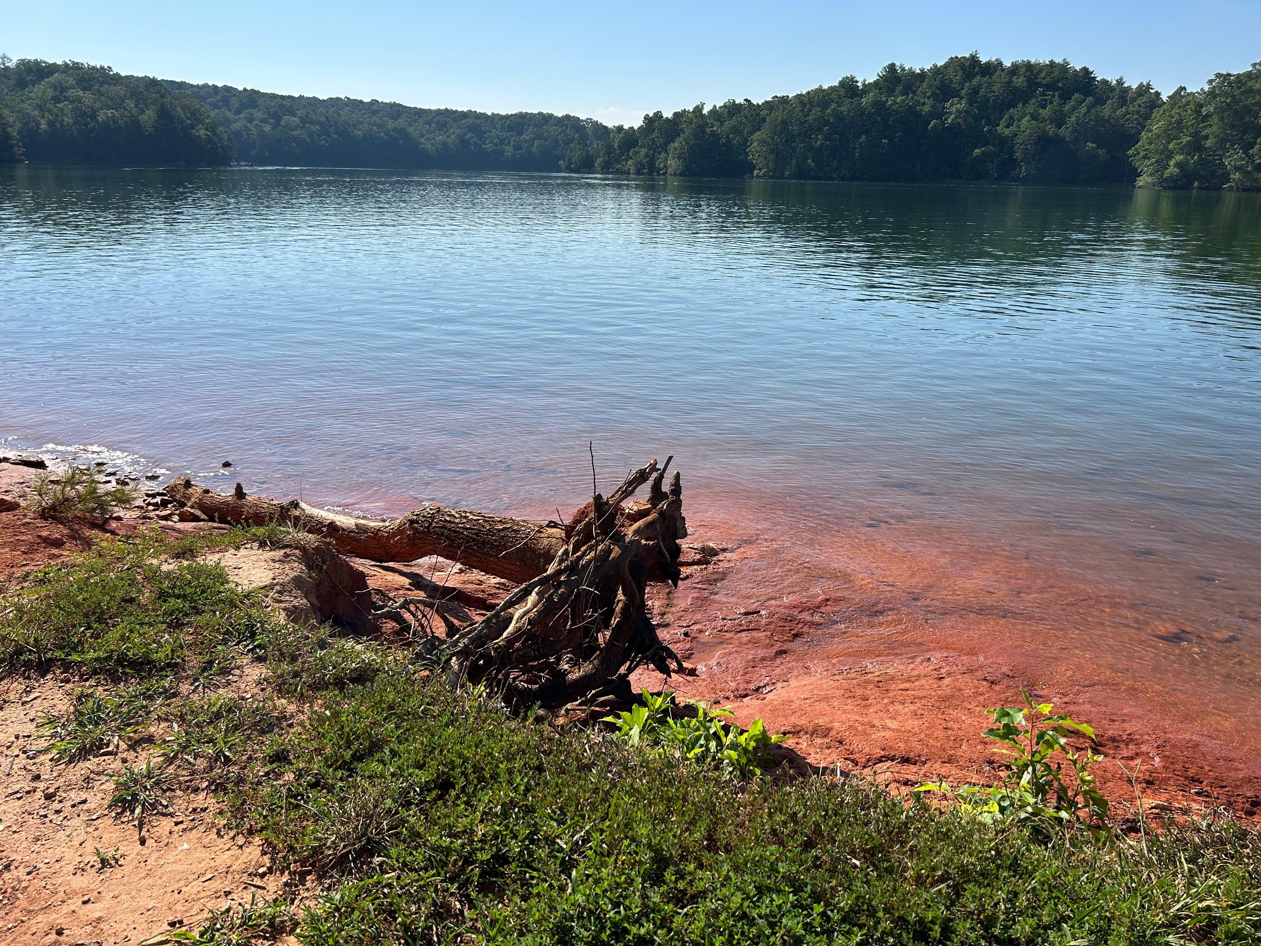 Lake near house 