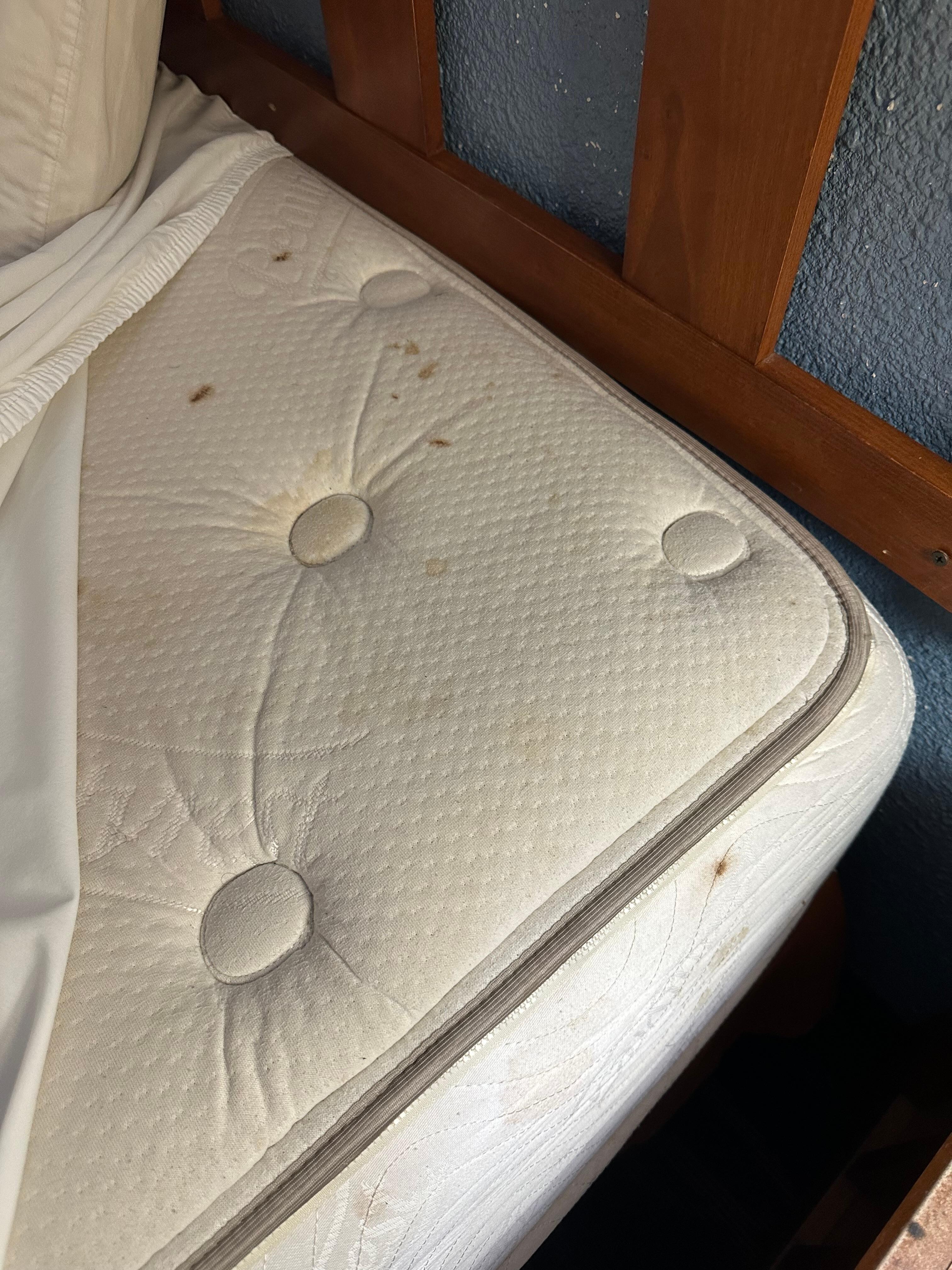Mattress with what appeared to be blood stains