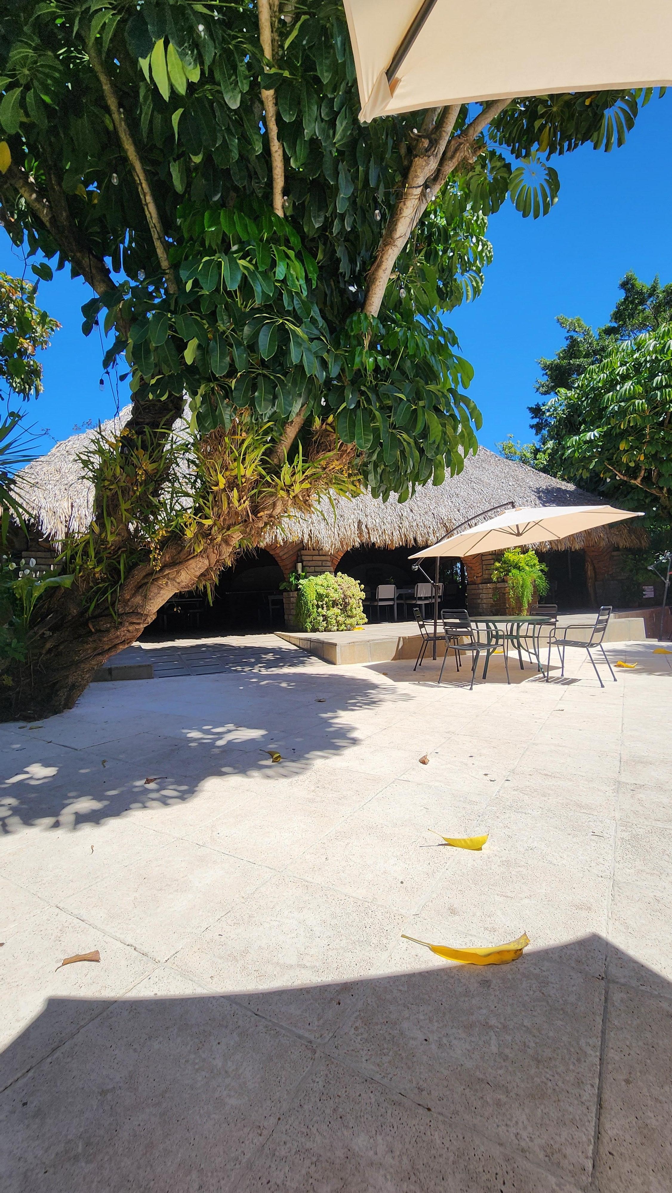 Área psicina y restaurante 