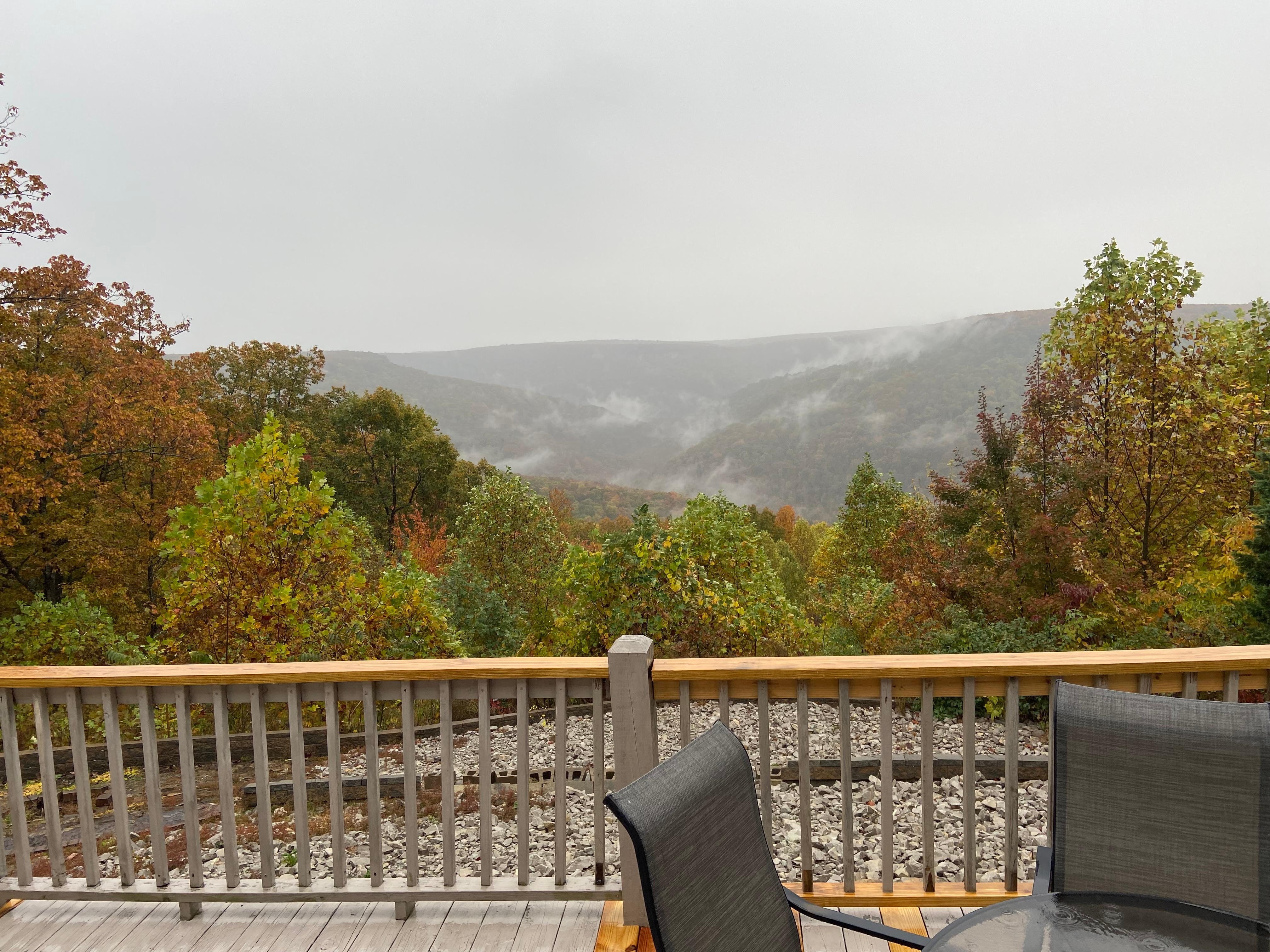 View from Living room